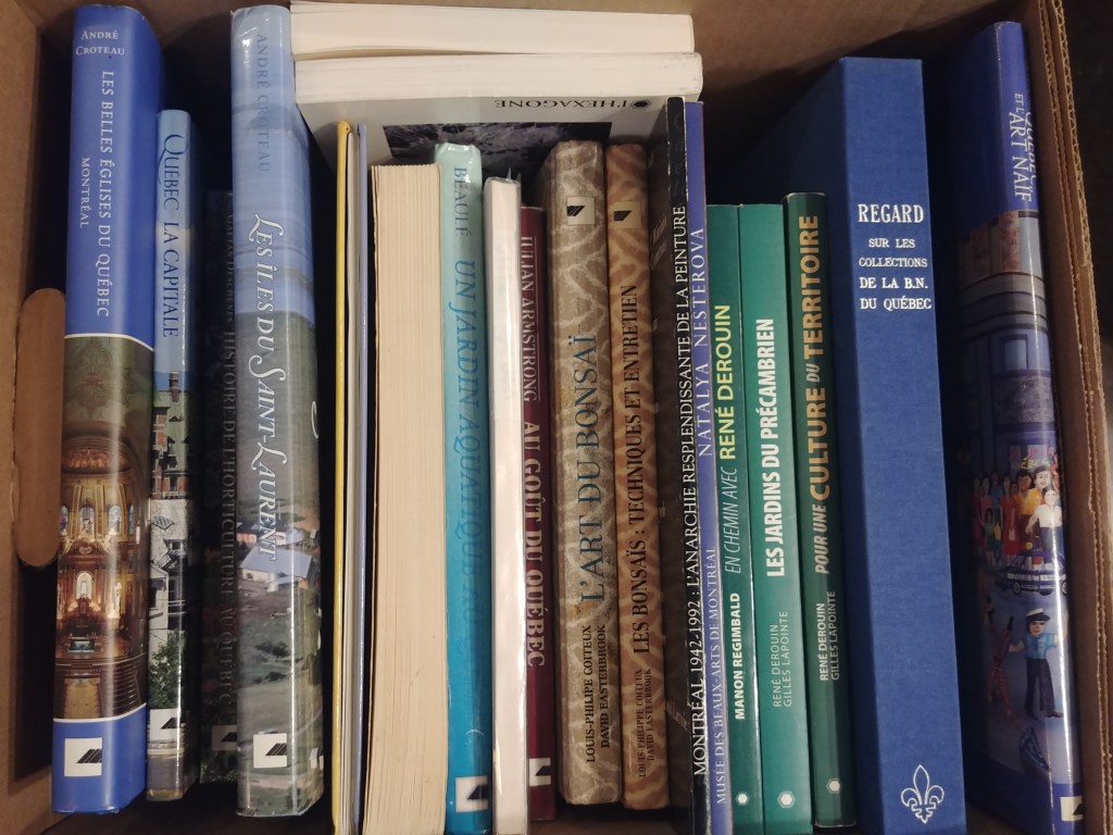 Cette image a un attribut alt vide ; le nom du fichier est 20250519_113853.jpg